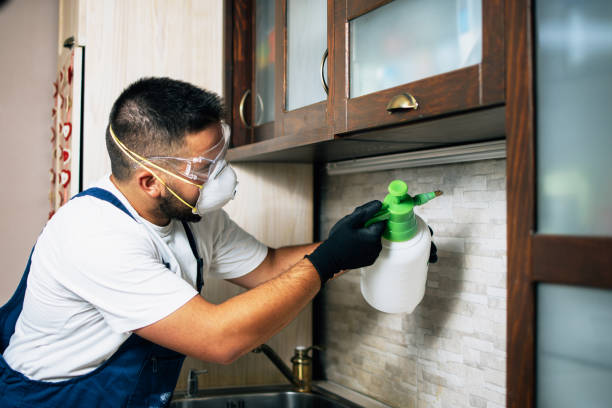 Pest Prevention Services in Cresskill, NJ