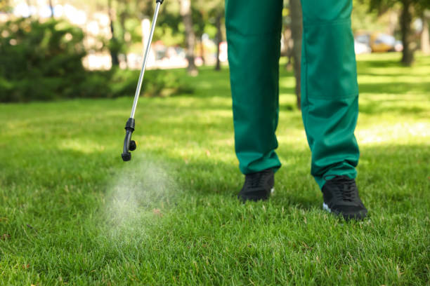 Best Mosquito Control Services  in Cresskill, NJ