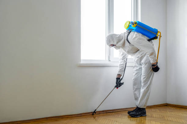 Best Wasp Removal Services  in Cresskill, NJ