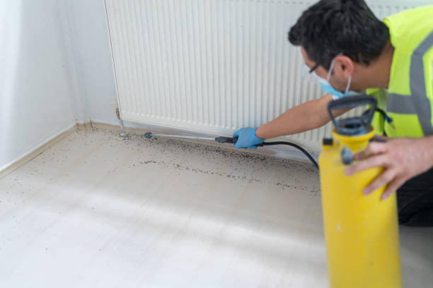 Best Local Pest Control Services  in Cresskill, NJ